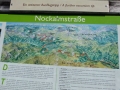 p1000465-800x600